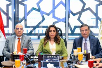 Egyptian ministers discuss climate change impacts on food security in joint meeting