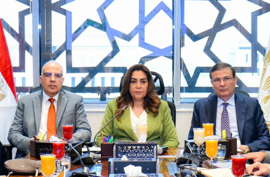 Egyptian ministers discuss climate change impacts on food security in joint meeting