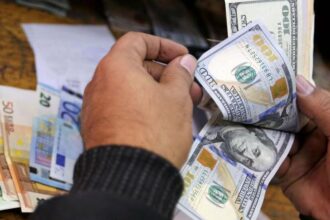 Egypt’s international reserves climb to $49.53bn in September: CBE