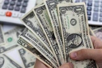 CBE’s net foreign assets exceed $11bn in September 2025