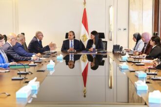 Egypt's foreign and planning ministries to align efforts on economic diplomacy