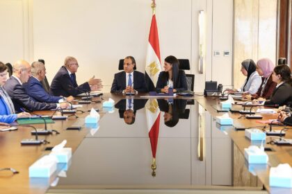 Egypt's foreign and planning ministries to align efforts on economic diplomacy