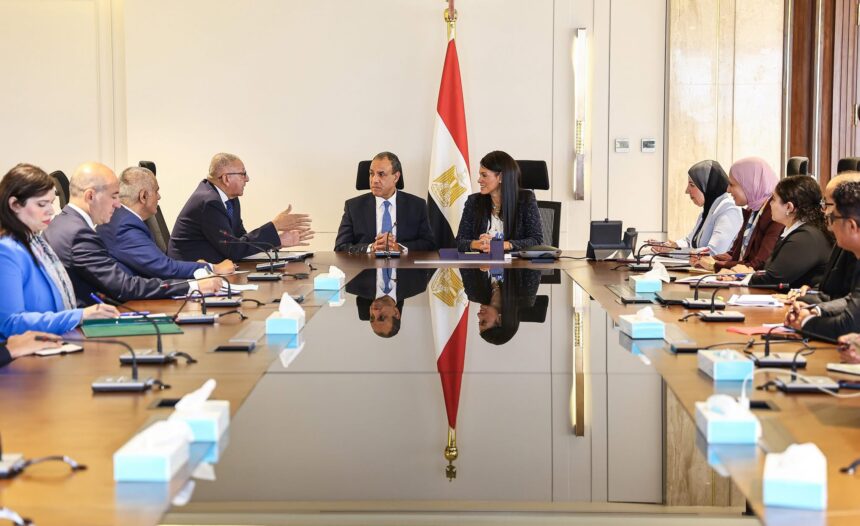 Egypt's foreign and planning ministries to align efforts on economic diplomacy