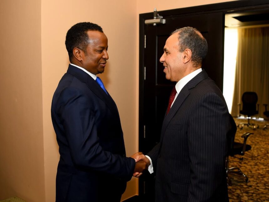 Egypt discusses troop deployment to Somalia with foreign minister