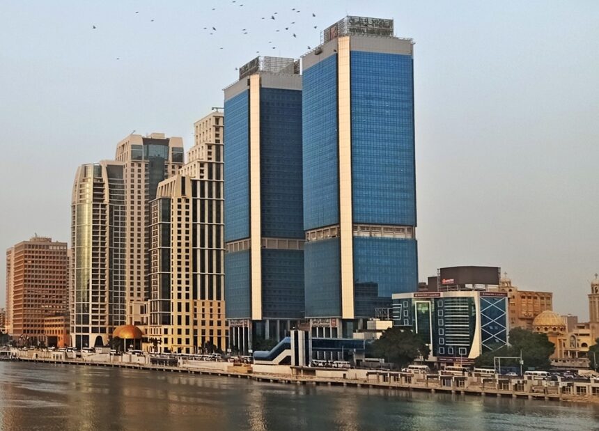NBE joins capital increase of Arab API to establish Egypt’s first multi-purpose pharmaceutical raw materials plant