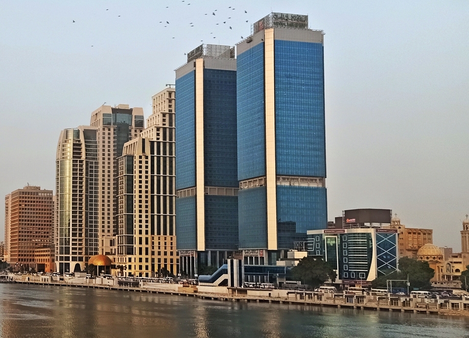 NBE joins capital increase of Arab API to establish Egypt’s first multi-purpose pharmaceutical raw materials plant
