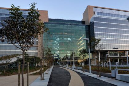 Standard Bank to launch representative office in Egypt on 12 November