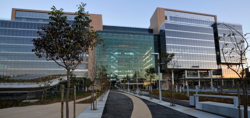 Standard Bank to launch representative office in Egypt on 12 November