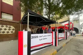 Egyptians vote in 1st stage of lower house of parliament elections