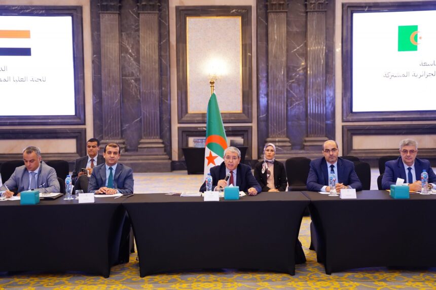 Egyptian-Algerian expert meetings held ahead of joint higher committee session