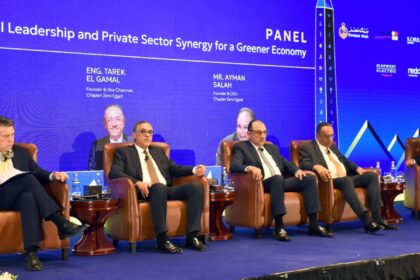 Egypt’s solar panel production to begin by early 2026 with up to 90% local component: GAFI