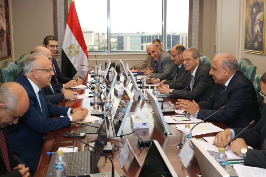 Ministers of electricity, water resources discuss maximising hydropower returns at High Dam