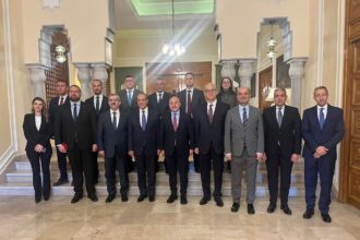 Egypt's FM discusses Gaza, Libya, Sudan at Turkey's SETA foundation