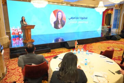 Egypt's childhood council discusses national nursery survey results