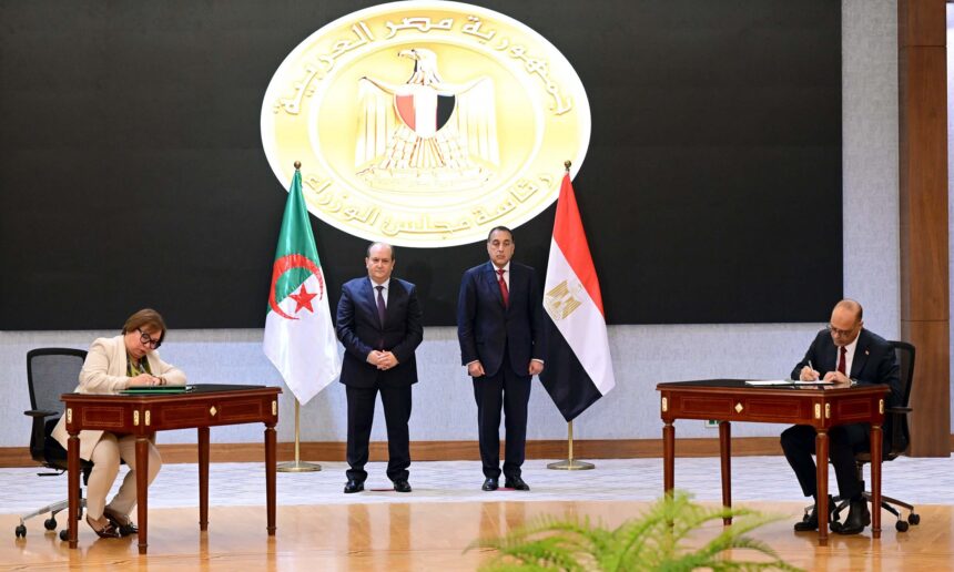 Egypt, Algeria sign wide-ranging cooperation agreements