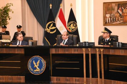 Egypt's Al-Sisi urges 'awareness' and hard work to overcome challenges