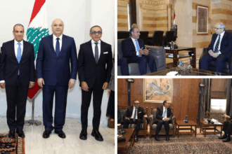 Cairo affirms commitment to Lebanese sovereignty, urges halt to cross-border violations