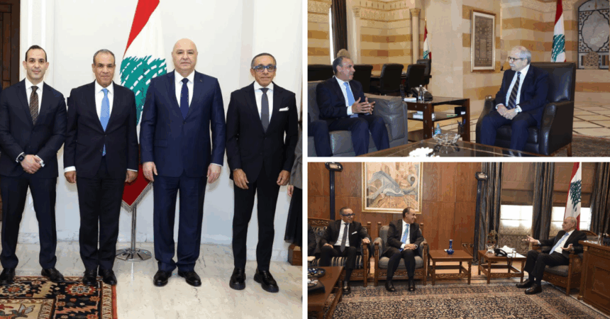 Cairo affirms commitment to Lebanese sovereignty, urges halt to cross-border violations