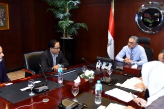 Singapore’s Destiny Energy to invest $210m in Egypt to produce 100,000 tonnes of green ammonia annually