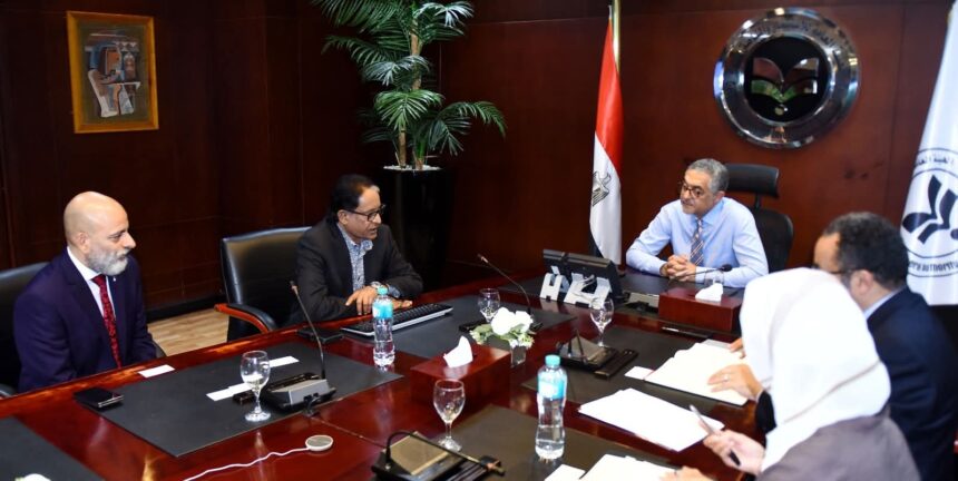 Singapore’s Destiny Energy to invest $210m in Egypt to produce 100,000 tonnes of green ammonia annually