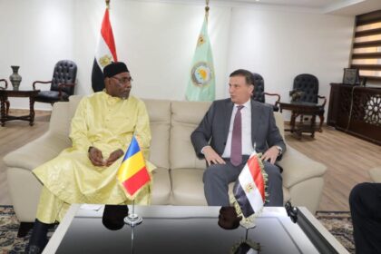 Egypt, Chad discuss roadmap to expand joint investment in livestock sector