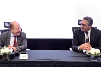 GAFI targets 30-32% industrial GDP share by 2030: Heiba