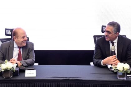 GAFI targets 30-32% industrial GDP share by 2030: Heiba