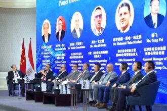 Surging Chinese investment drives expansion of Egypt’s free zones: GAFI chief