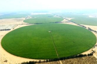 DALTEX partners in launch of world’s first AI agricultural engineer ‘ORTH’