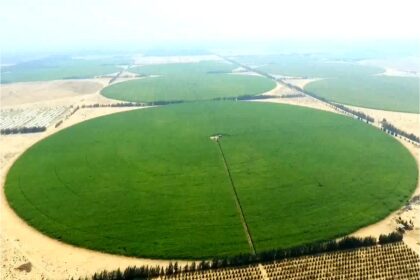 DALTEX partners in launch of world’s first AI agricultural engineer ‘ORTH’