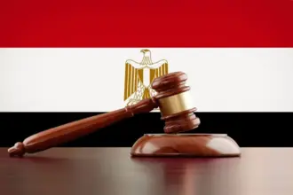 Egypt's Al-Sisi ratifies new criminal procedures law after parliament amends it