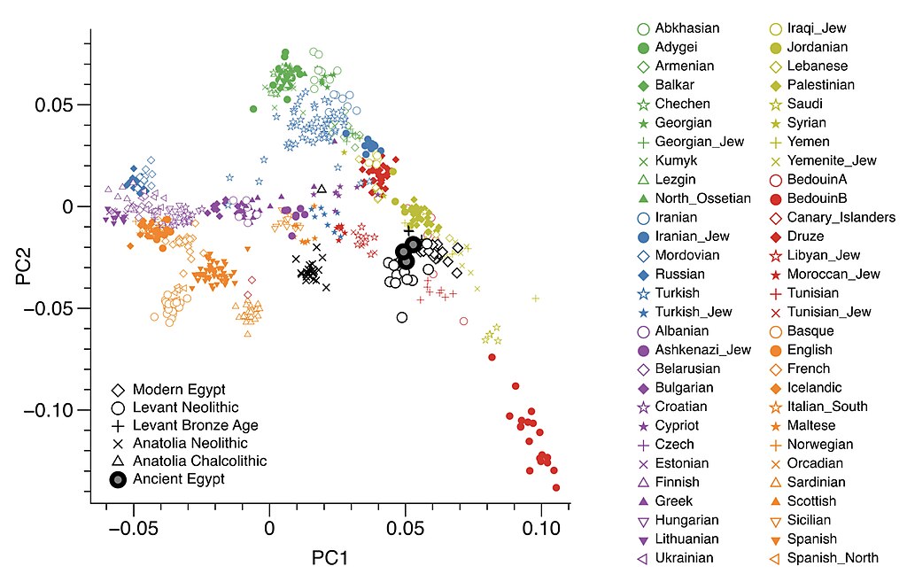 PCA plot from 2017 Ancient Egypt DNA study showing 80–90% genetic continuity between ancient and modern Egyptians