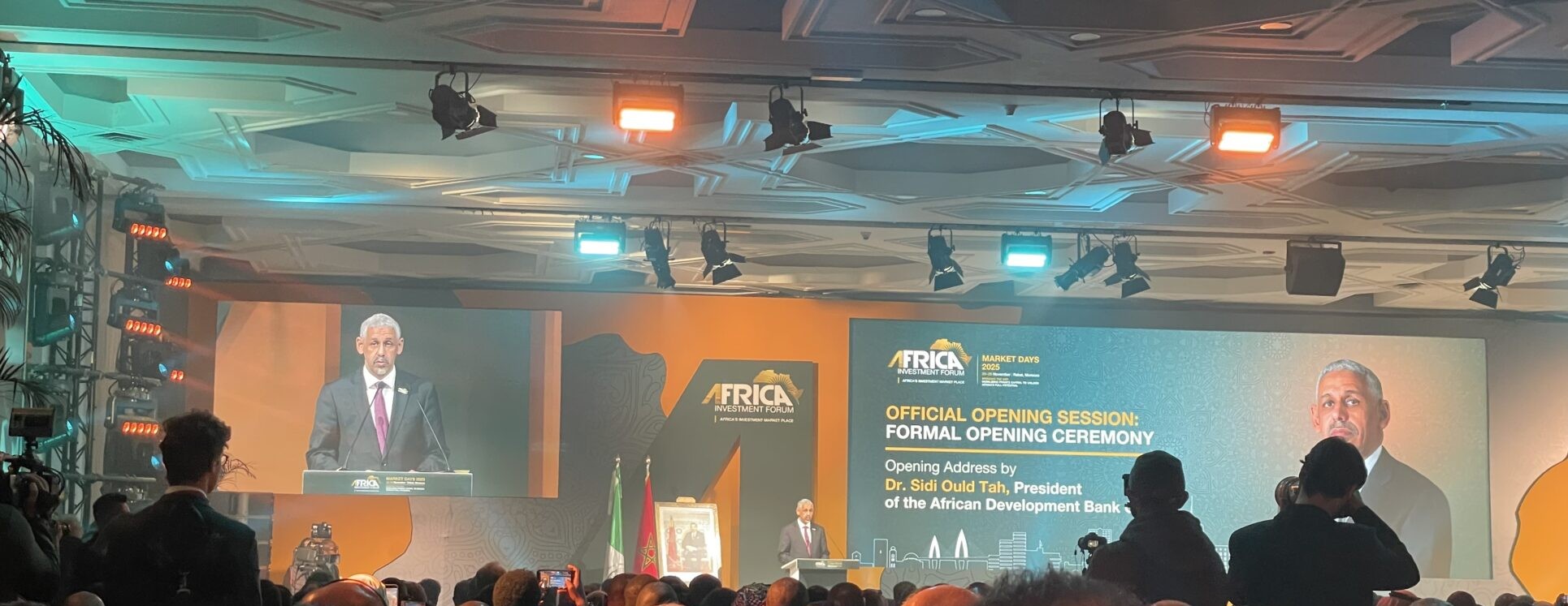 AfDB calls on African nations to accelerate private capital mobilisation to close development financing gap