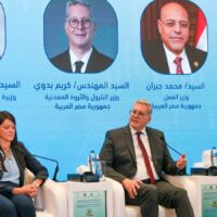 Egypt keen to expand Arab private-sector investment in energy, mining: Petroleum Minister