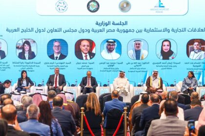 Working groups submit feedback on 'Egypt's Narrative for Economic Development'