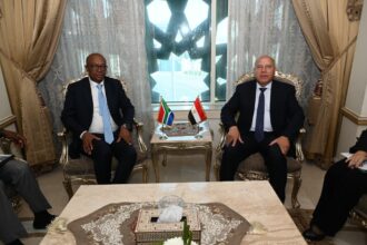 Egypt, South Africa discuss strengthening cooperation in industry, transport