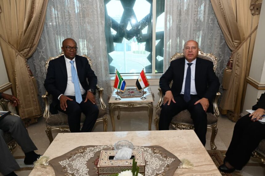 Egypt, South Africa discuss strengthening cooperation in industry, transport
