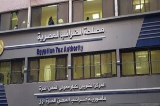 Egypt Tax Authority Standardises VAT Treatment for Exported Services, Issues Guidance