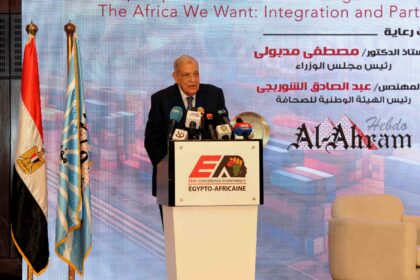 former Egyptian Prime Minister Ibrahim Mahlab