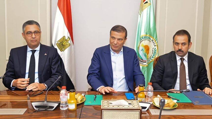 Egypt steps up efforts to boost domestic poultry production ahead of Ramadan
