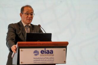 Ahmed Kouchouk, Finance Minister