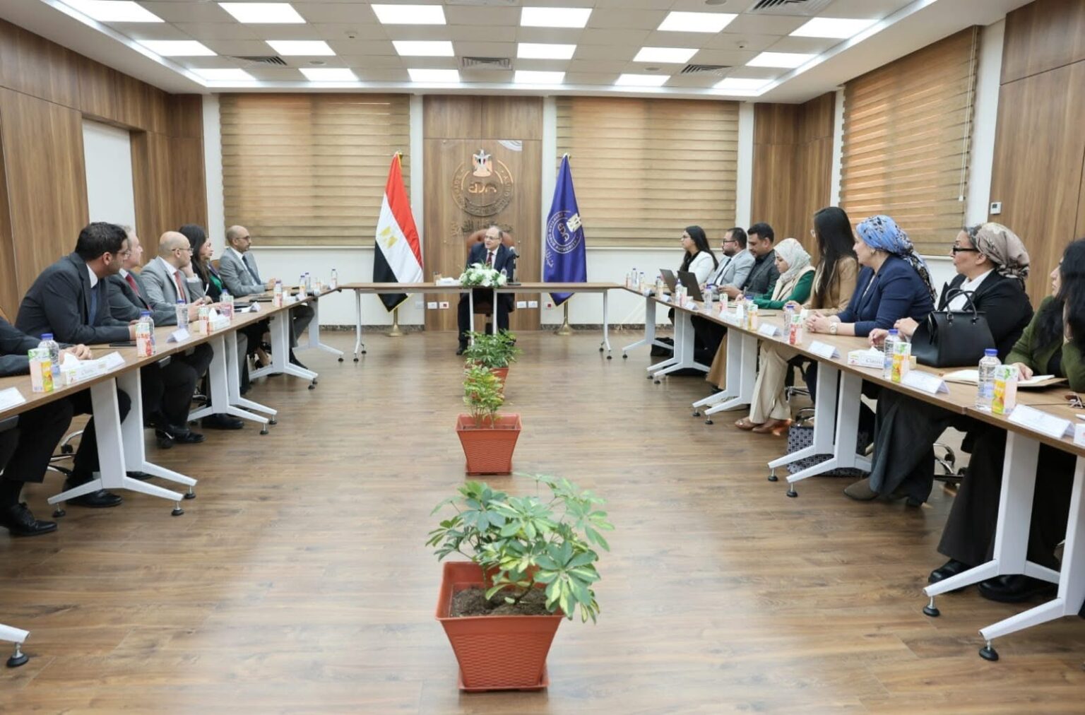 Egypt's drug authority discusses market stability with global pharma firms