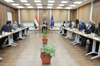 Egypt's drug authority discusses market stability with global pharma firms