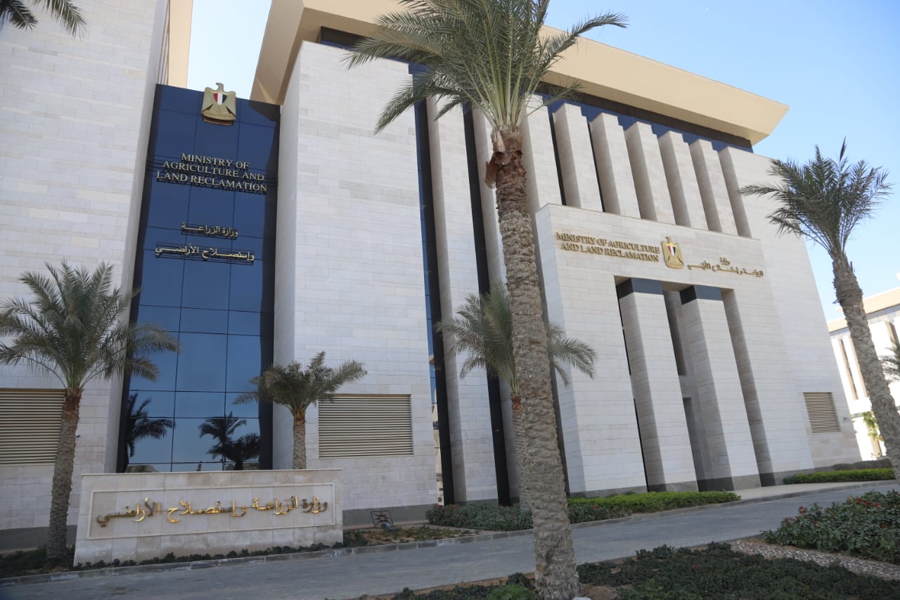 EGP 10.053bn injected into national veal project: Agriculture Ministry