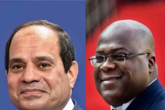 Egyptian President Abdel Fattah Al-Sisi (L) and President of the Democratic Republic of the Congo,Felix Tshisekedi (R)