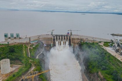 Egyptian-built dam in Tanzania is model for Nile cooperation, says Foreign Minister