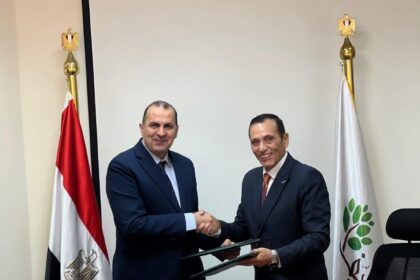 EGP 25bn project launched to supply electricity to one million feddans in West Minya Plain