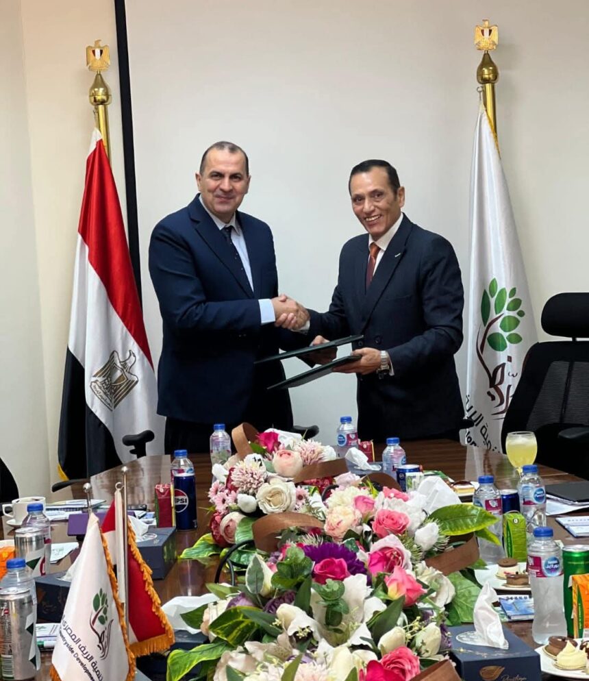 EGP 25bn project launched to supply electricity to one million feddans in West Minya Plain