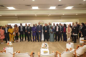 African food safety officials convene in Cairo to align regulations for free trade zone