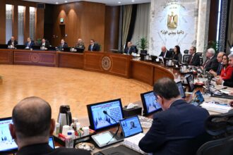 Egyptian Cabinet prepares new data law and stricter fines to combat misinformation
